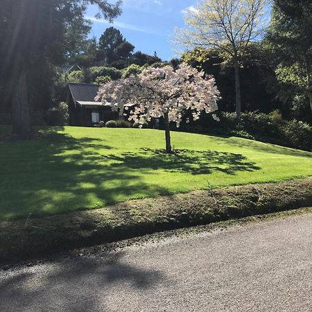 Cherrywood Cottage Akaroa Zewnętrze zdjęcie