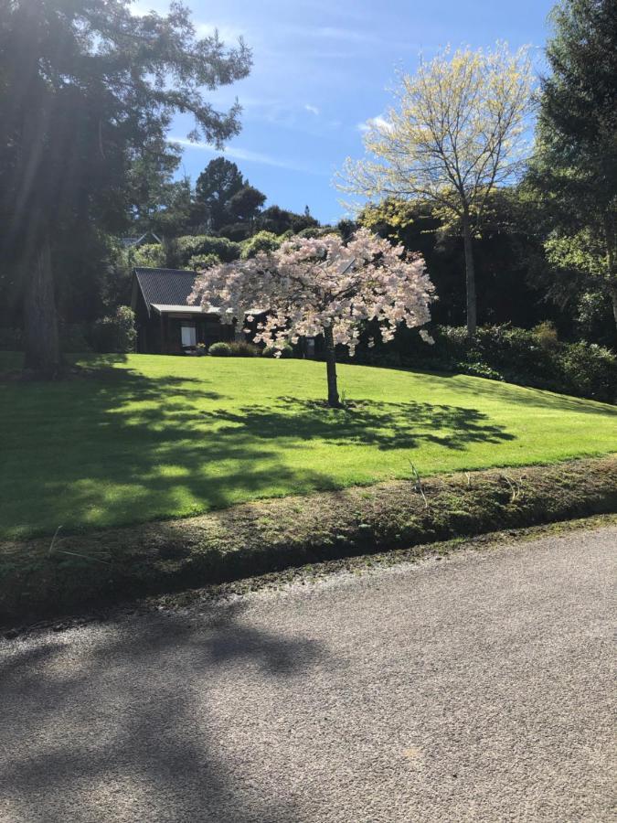 Cherrywood Cottage Akaroa Zewnętrze zdjęcie